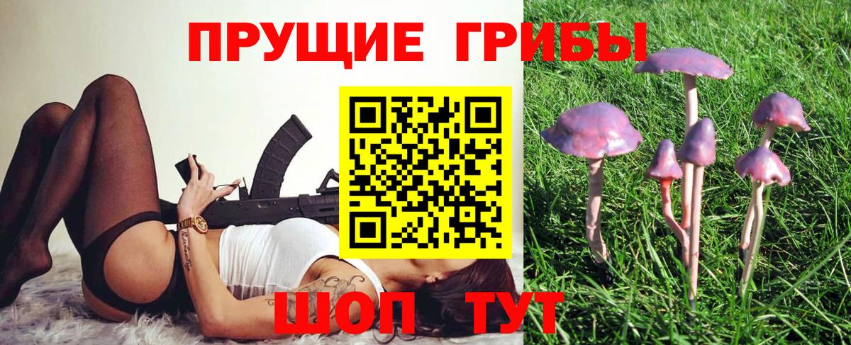 Назрань  Галлюциногенные грибы Psilocybe  Галлюциногенные грибы прущие грибы  Вход с VPN 